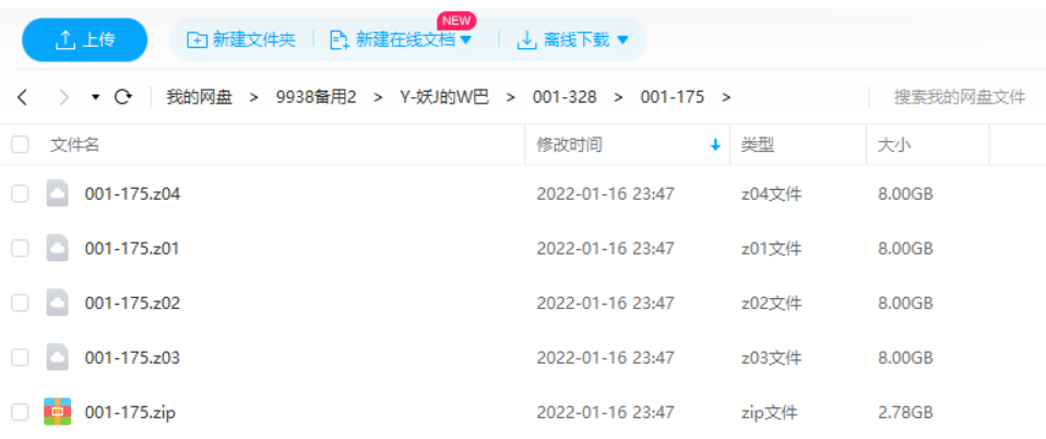 妖精的尾巴最强小队艾露莎与格雷