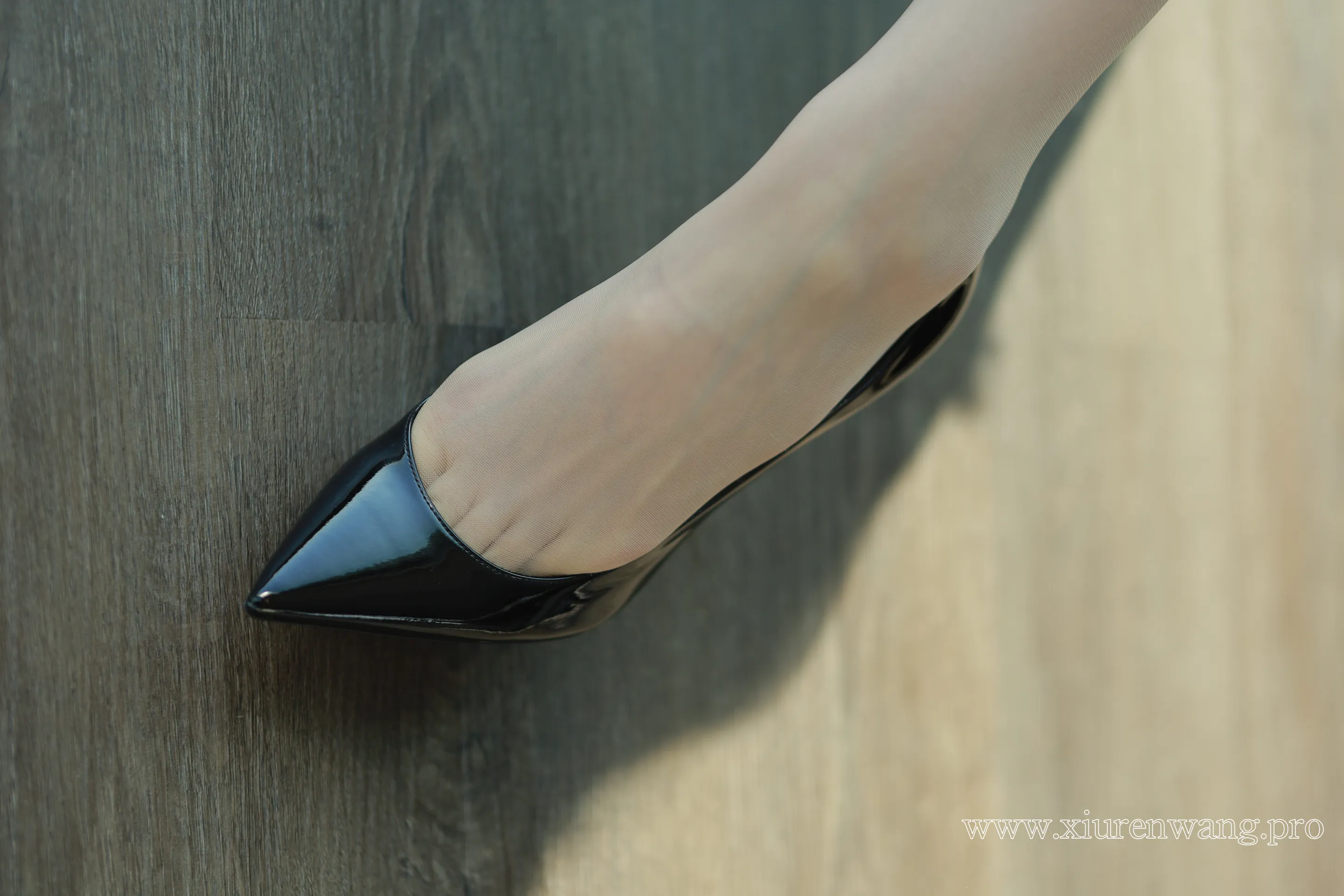 [精品]最新更新！Sia不吃鱼黑色系肉丝OL作品合集上线，高清cos套图在线观看