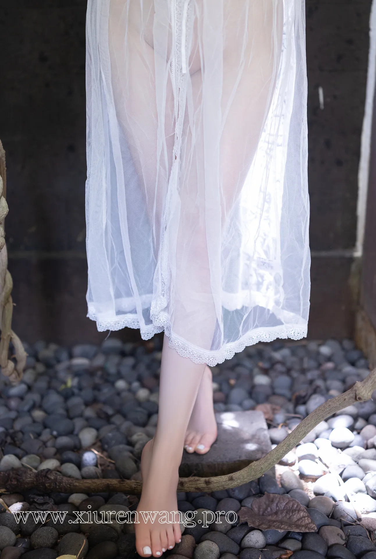 江真真 桃妖夭 多元审美 秀人名模鱼子酱Fish《夕颜》写真