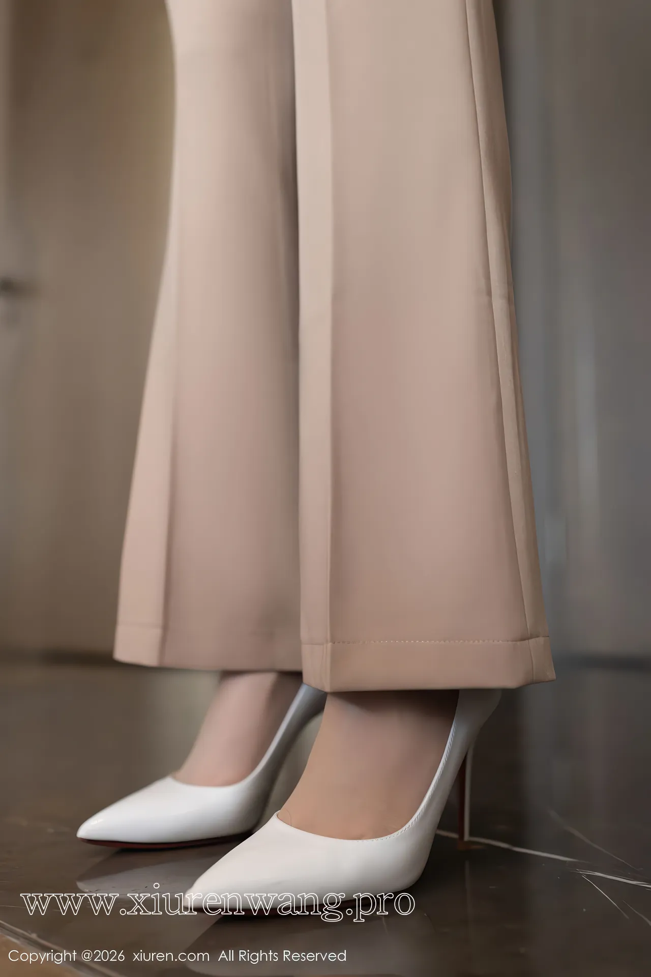 [秀人网]2026.01.27 NO.11282 安然anran