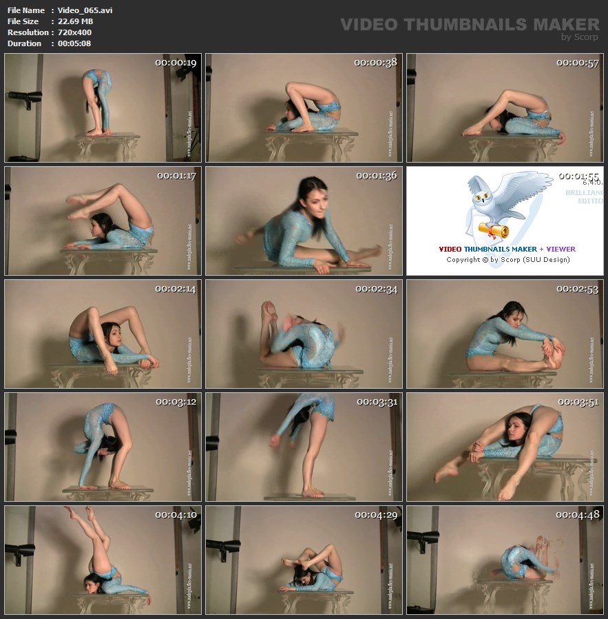 video_065
