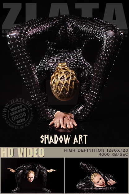 2016_05_02_shadow-art