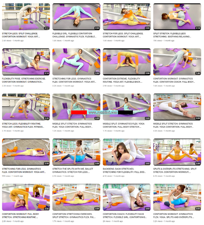 国外瑜伽美女megym-吉米姆-视频合集220部18gb
