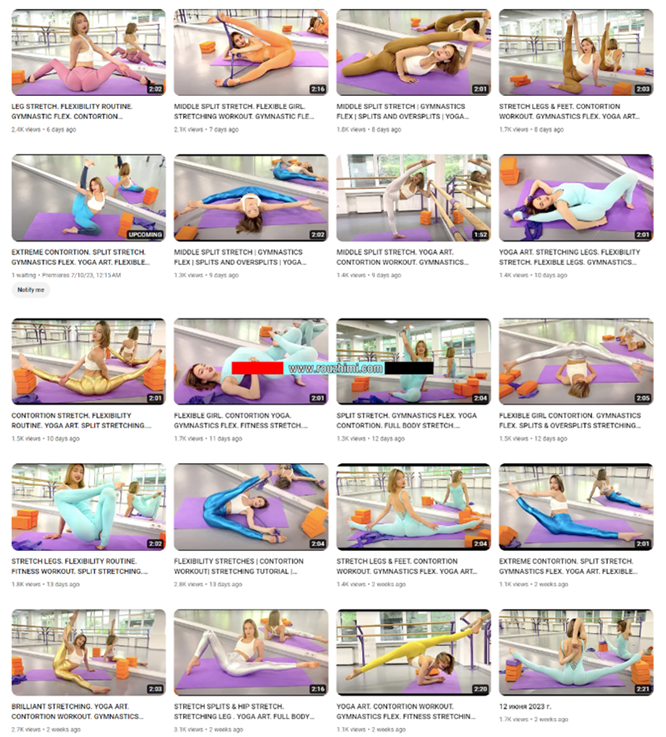 国外瑜伽美女megym-吉米姆-视频合集220部18gb
