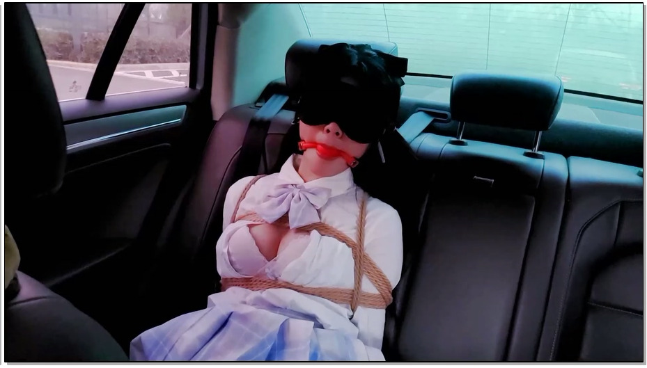 【嗷大喵】少女遇险记5 户外篇