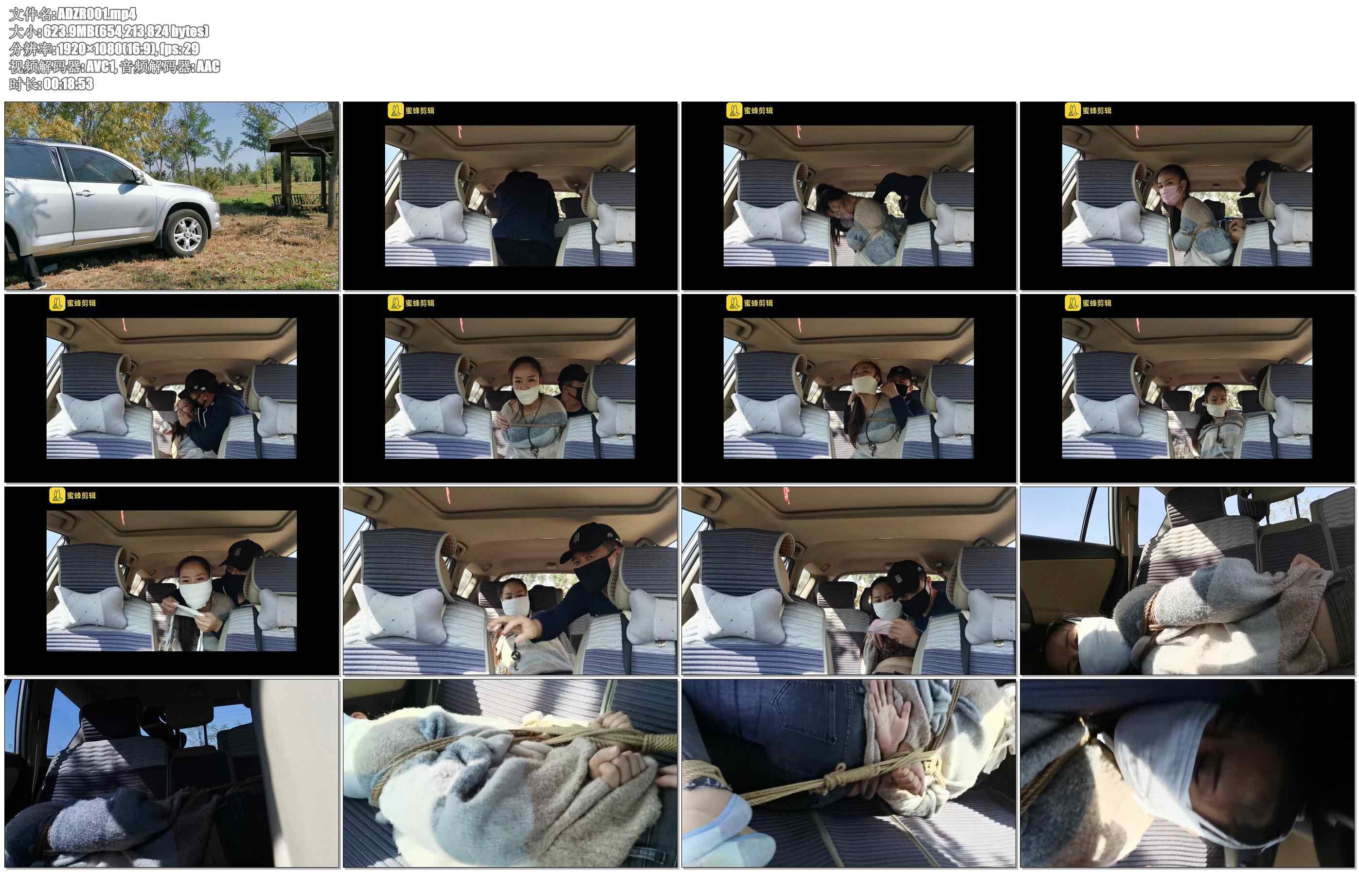 【爱堵之人】金秋郊外绑架一