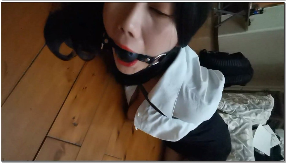 【奥特曼】小丁的捆绑梦 下部