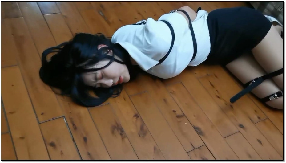 【奥特曼】小丁的捆绑梦 下部