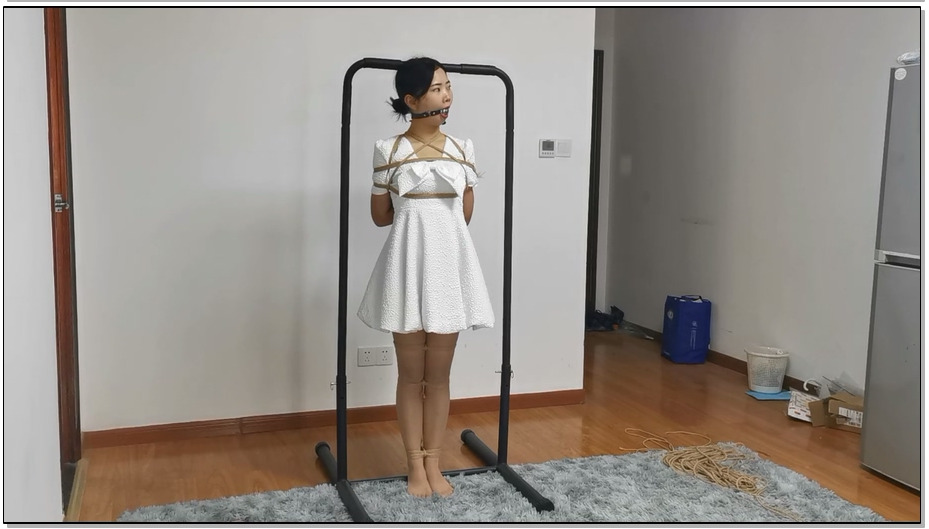 【奥特曼】小九一小时放置 