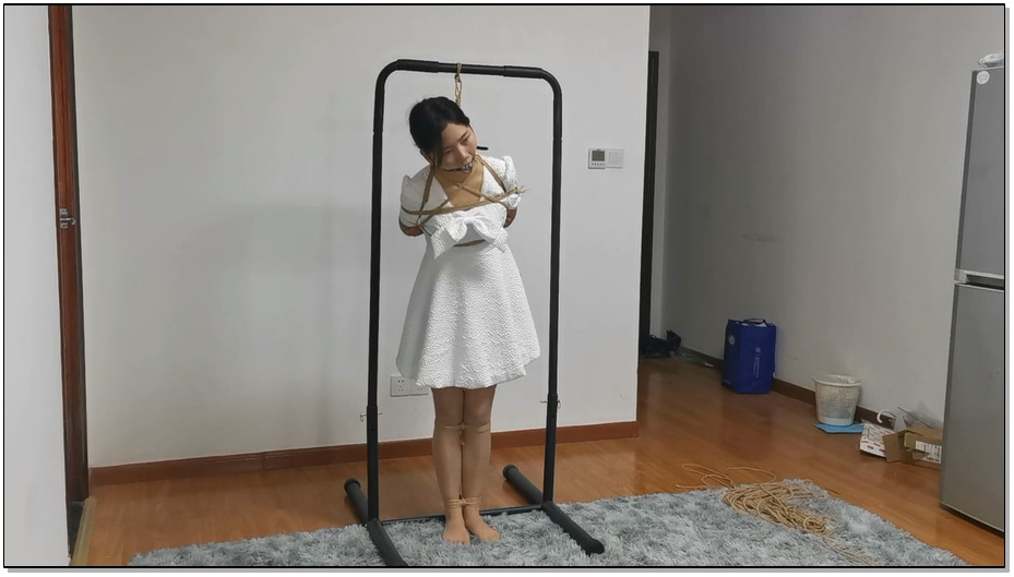 【奥特曼】小九一小时放置 