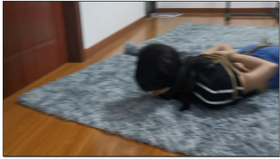 【奥特曼】微剧情 被小偷盯上的瑜玉