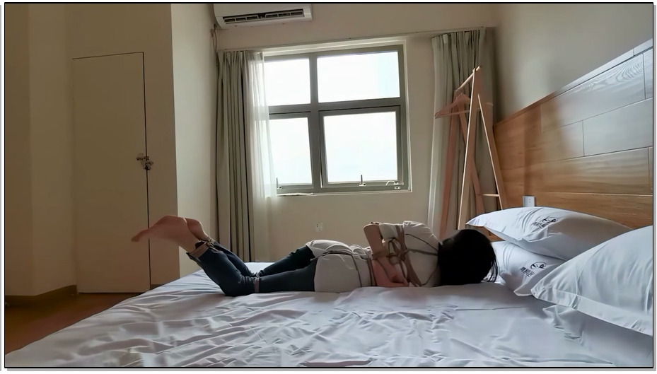 【奥特曼】莞尔 龟甲缚