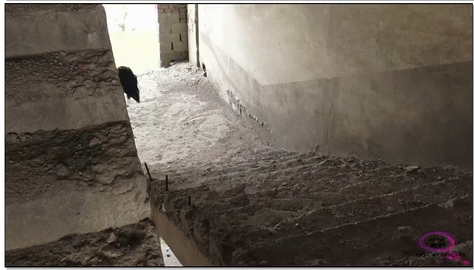 【暗狱原创】学妹遇险