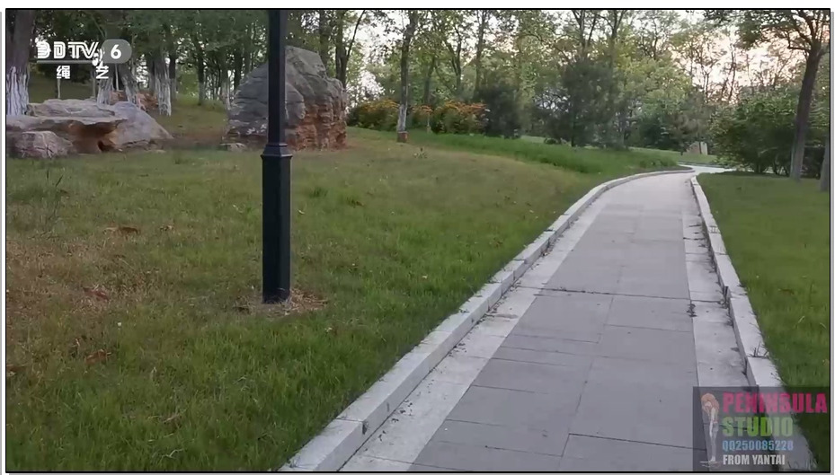 【半岛束艺】【外】海语齐B小旗袍公园散步，TK，唱歌（大妈各种看）