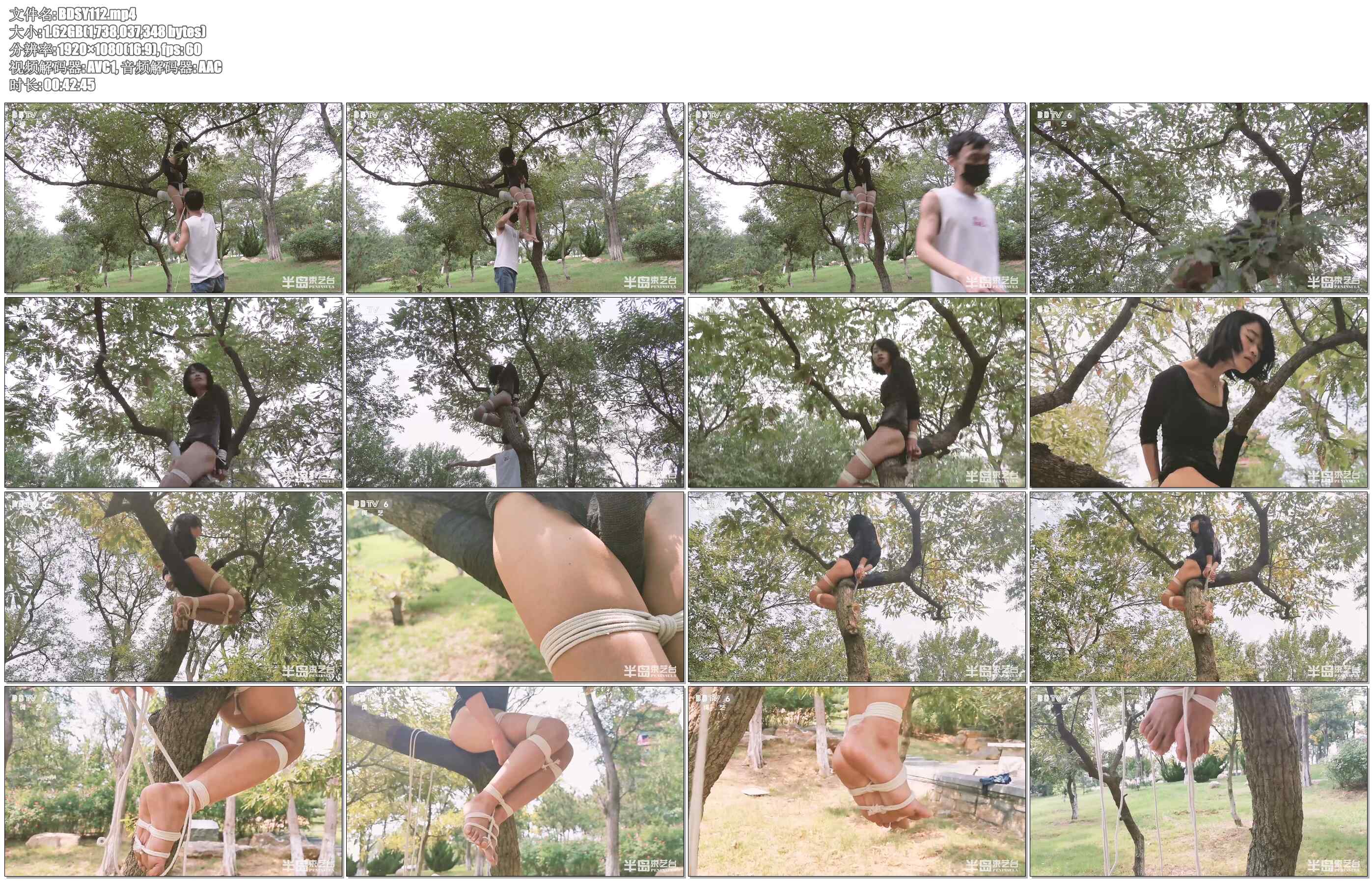 【半岛束艺】这是什么造型啊，挺别致啊