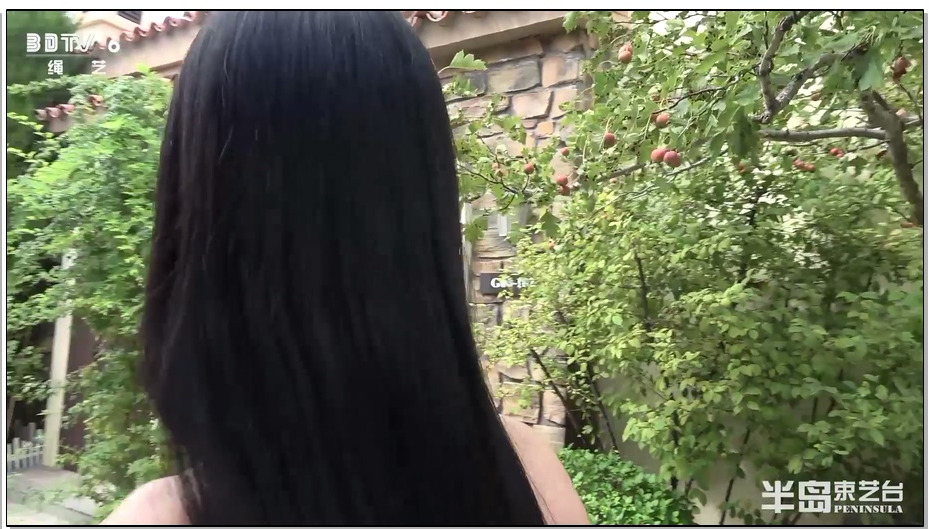 【半岛束艺】满园春色拦不住，一枝红杏出墙来