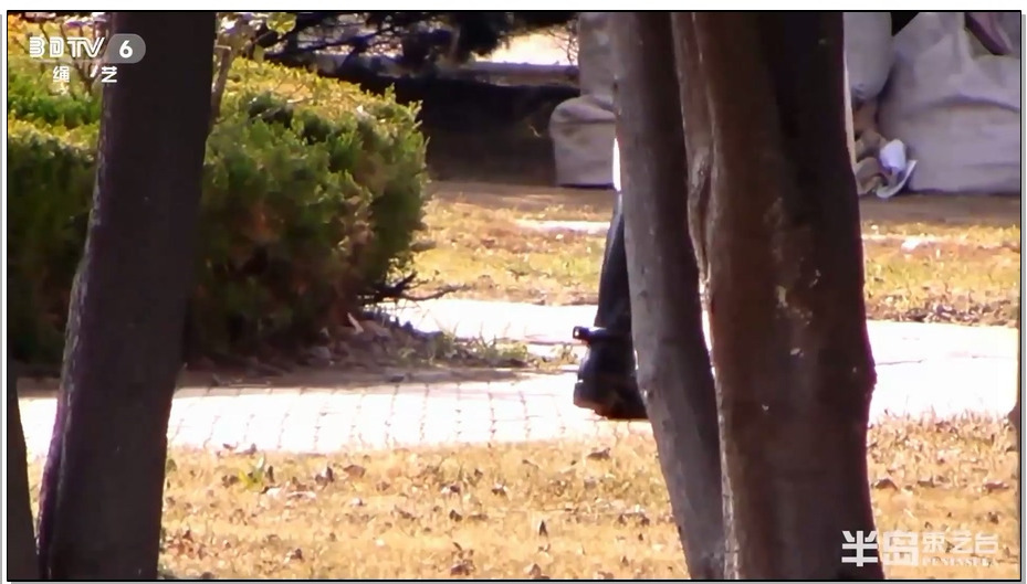 【半岛束艺】海语镣铐广场人群穿梭