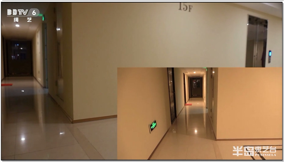 【半岛束艺】葡萄被坑进电梯独自下楼，一路狂跳回家