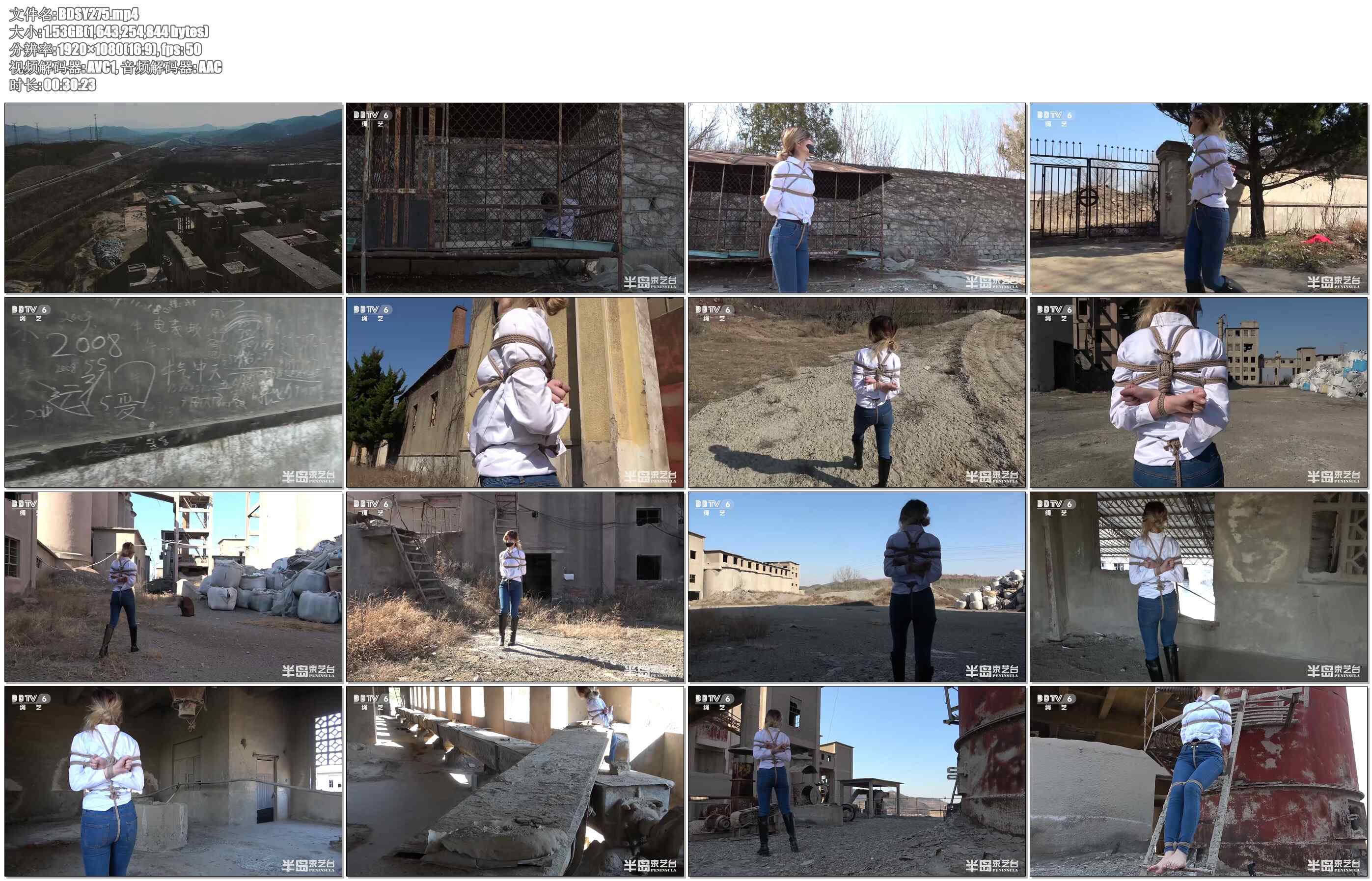 【半岛束艺】黄雀行动