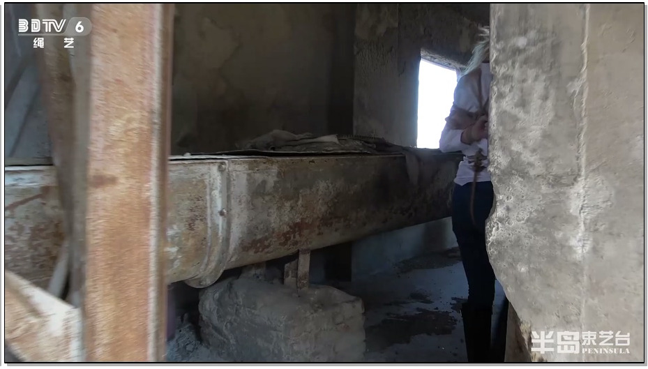 【半岛束艺】黄雀行动