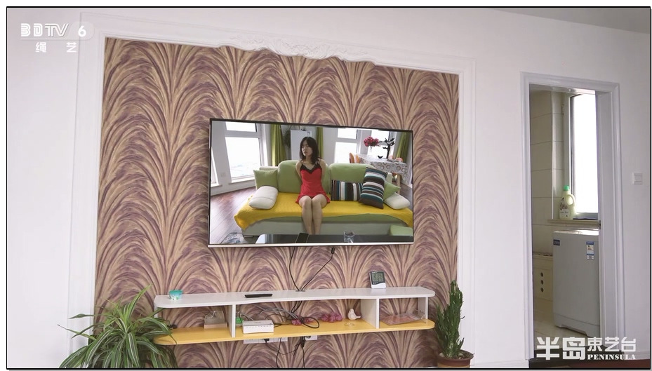 【半岛束艺】预知未来的电视
