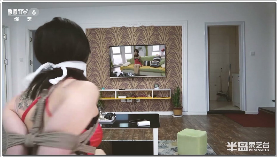 【半岛束艺】预知未来的电视