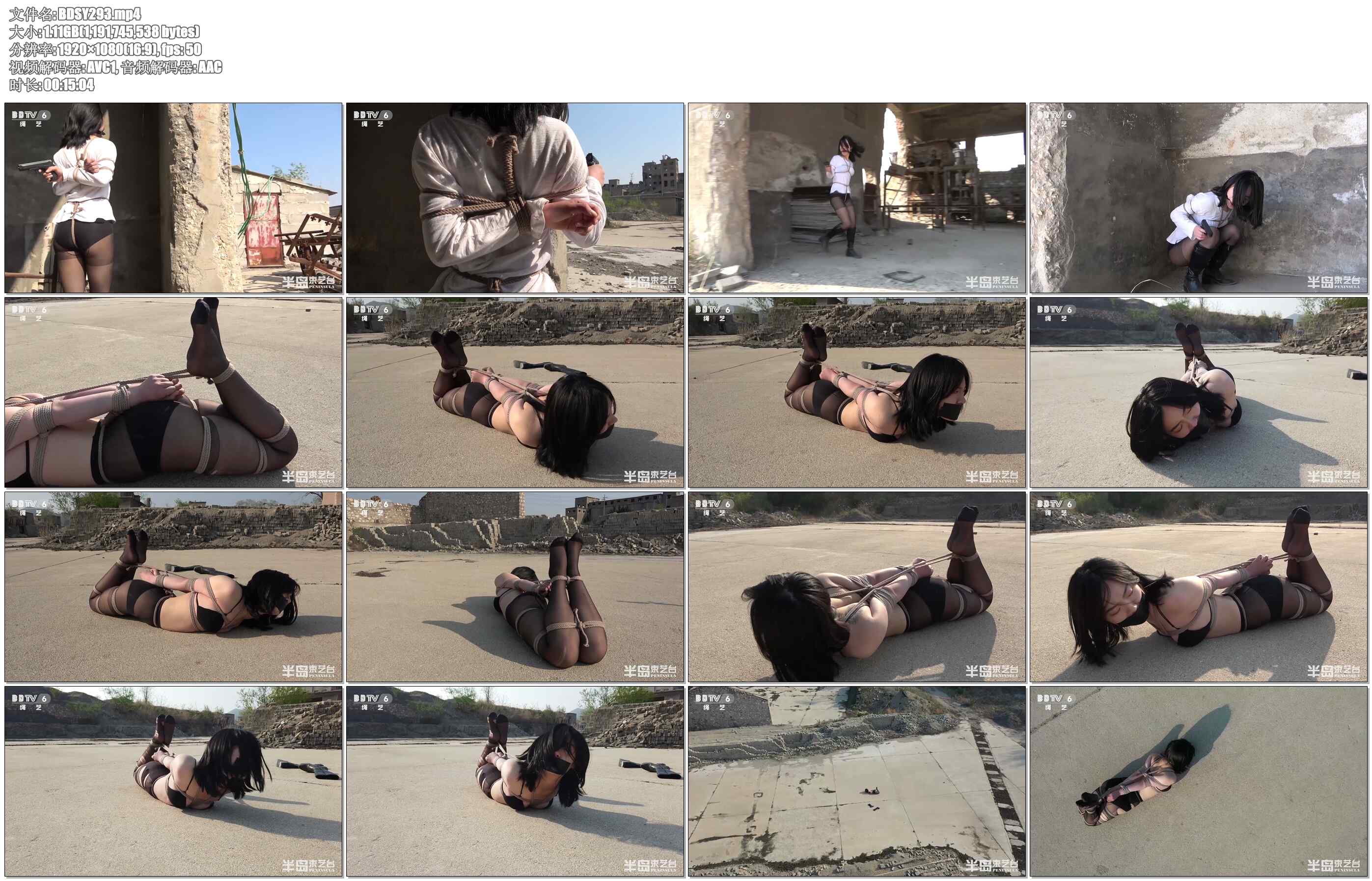 【半岛束艺】战地2020 下集