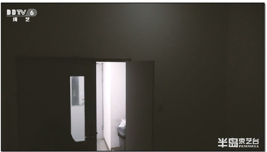 【半岛束艺】流星高叉泳装惊险的楼道、电梯、楼顶刺激日式小高手之旅