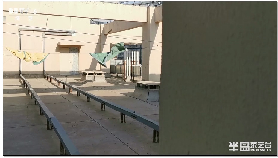 【半岛束艺】流星高叉泳装惊险的楼道、电梯、楼顶刺激日式小高手之旅