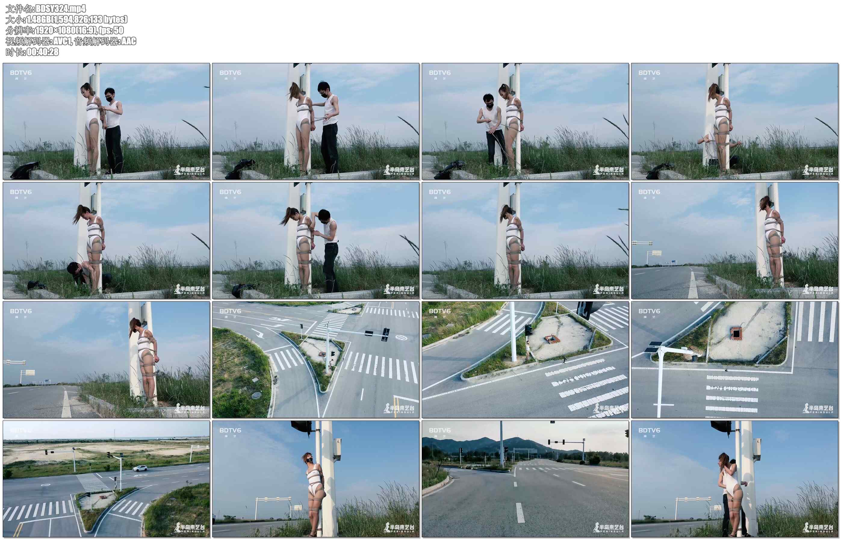 【半岛束艺】疯狂的十字路口