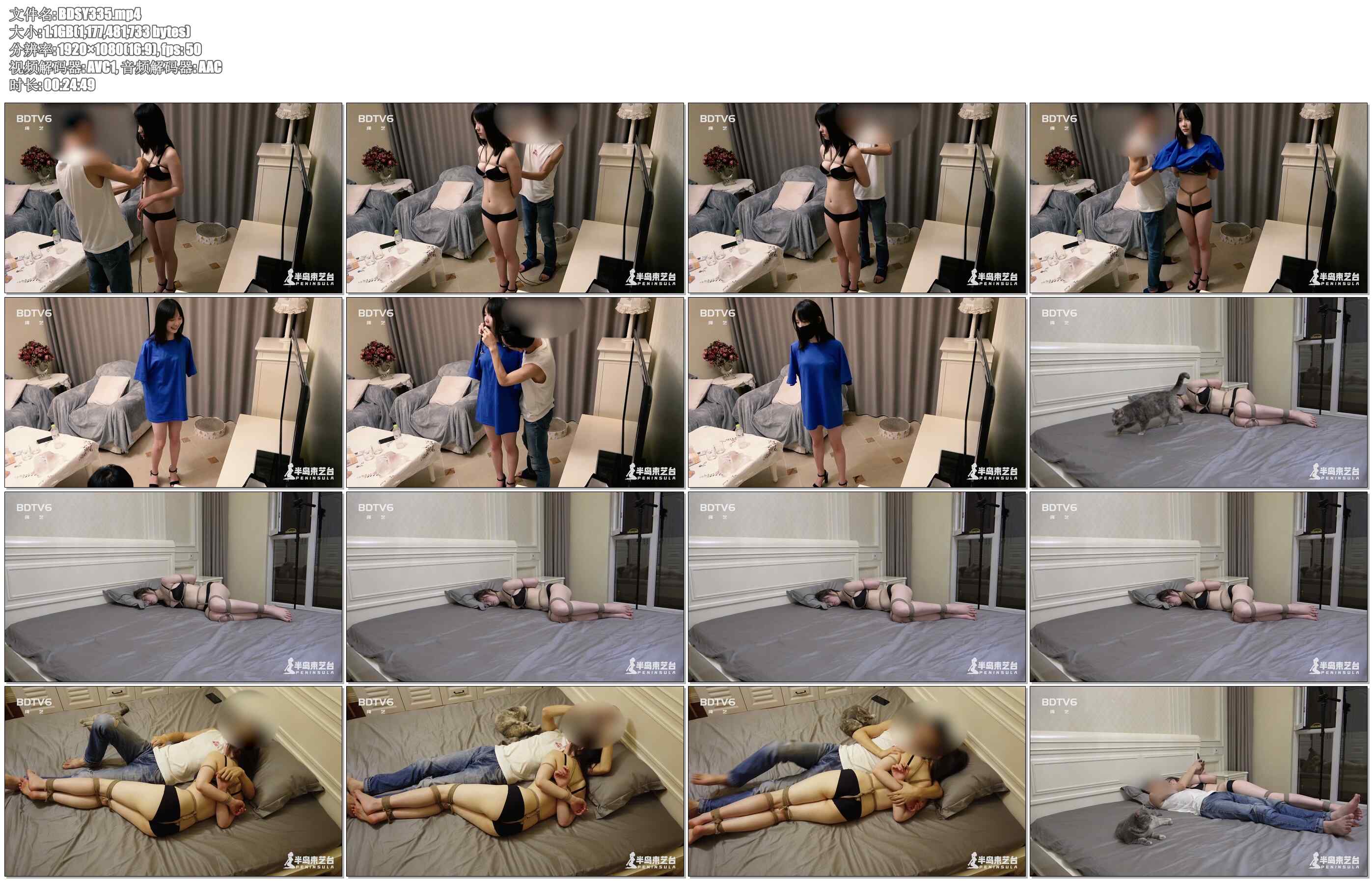 【半岛束艺台】流星613综合