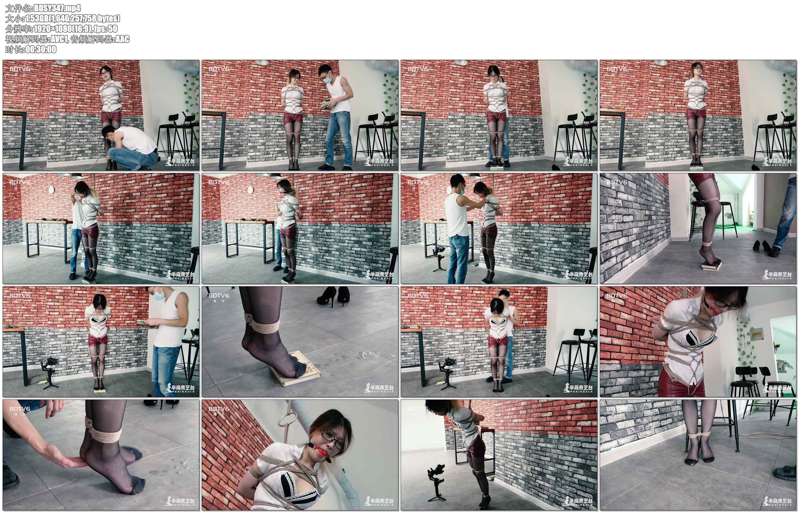 【半岛束艺】首次采纳热心网友剧本：被抽走的书