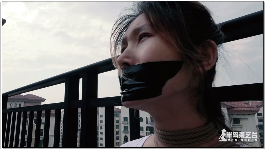 【半岛束艺】鹿野天台嘚瑟遭遗弃