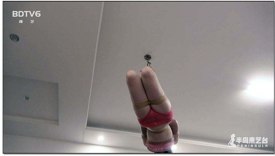 【半岛束艺】线下活动纪实：流星超高驷马吊