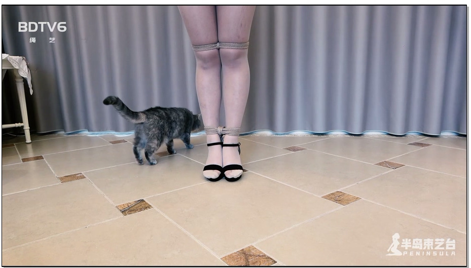 【半岛束艺】魔性舞蹈：跳动的胸器