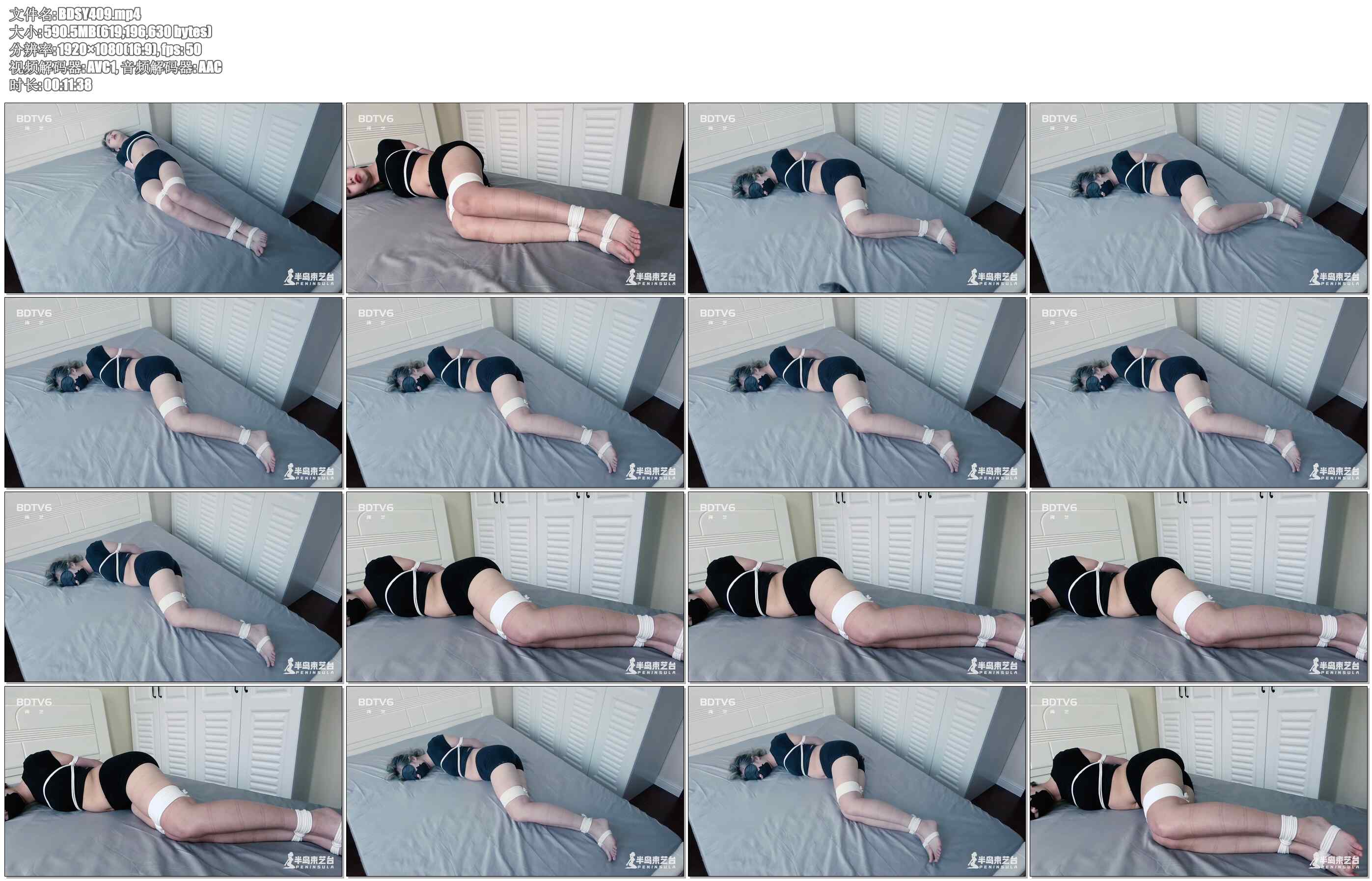 【半岛束艺】177小蛇简欧放置