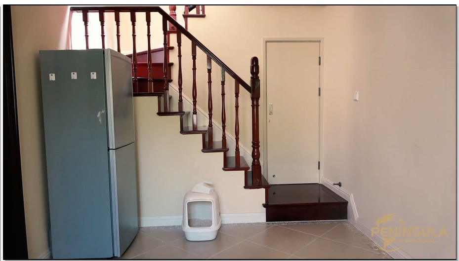 【半岛束艺】吓出心脏病的屋外罚站：流星的居家日常