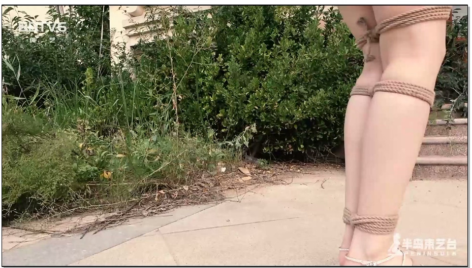 【半岛束艺】粗心绑匪和倒霉女孩