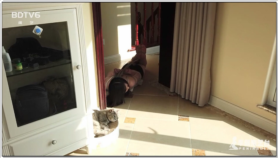 【半岛束艺】流星极限驷马移动测试，盆骨骼前上棘磨红