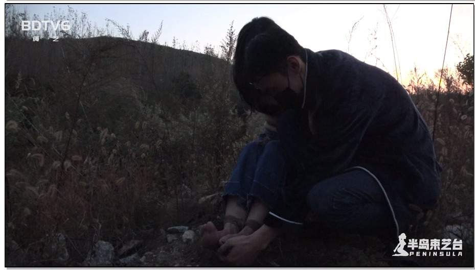 【半岛束艺】傍晚的草丛