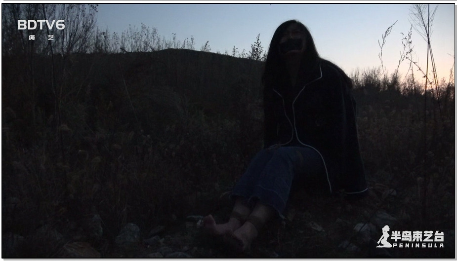 【半岛束艺】傍晚的草丛