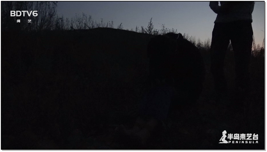 【半岛束艺】傍晚的草丛