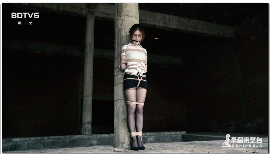 【半岛束艺】古墓丽影 上