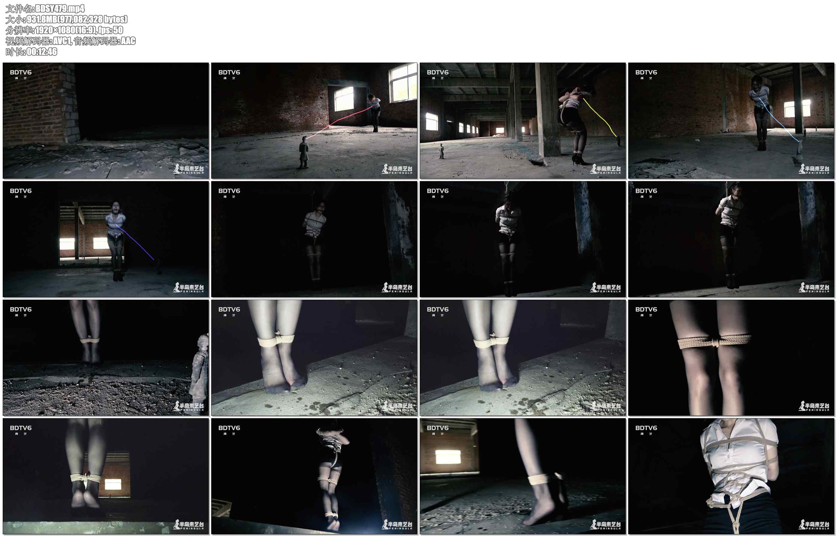 【半岛束艺】古墓丽影 下