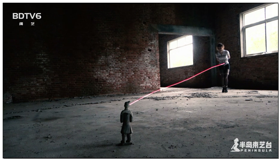 【半岛束艺】古墓丽影 下