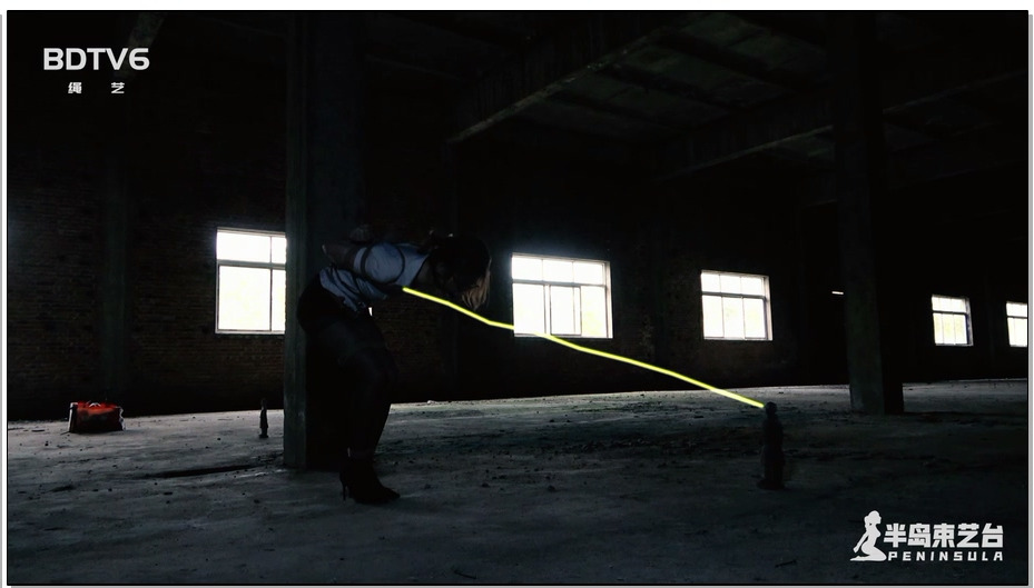 【半岛束艺】古墓丽影 下