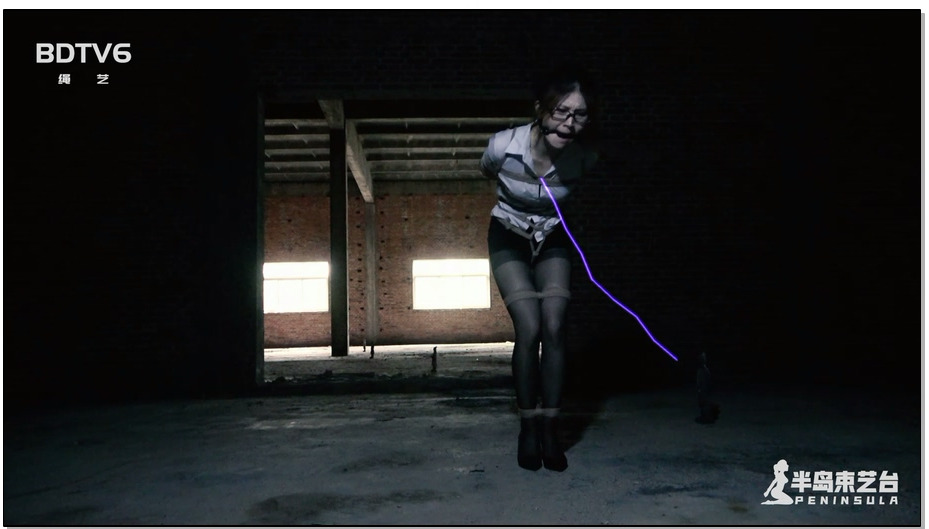 【半岛束艺】古墓丽影 下