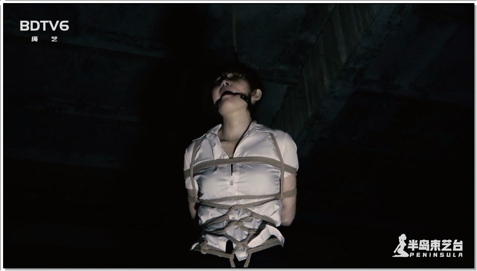 【半岛束艺】古墓丽影 下