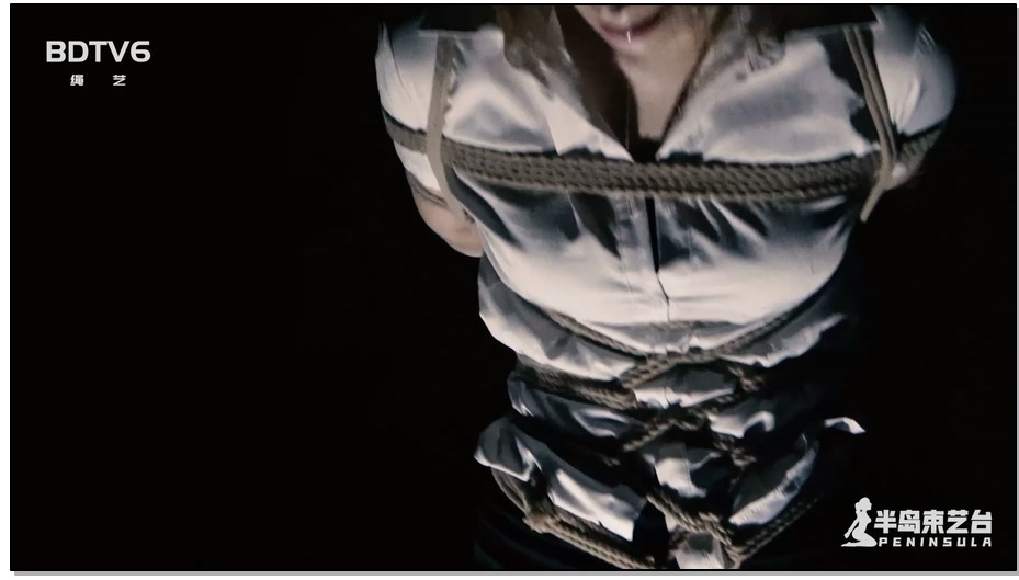 【半岛束艺】古墓丽影 下