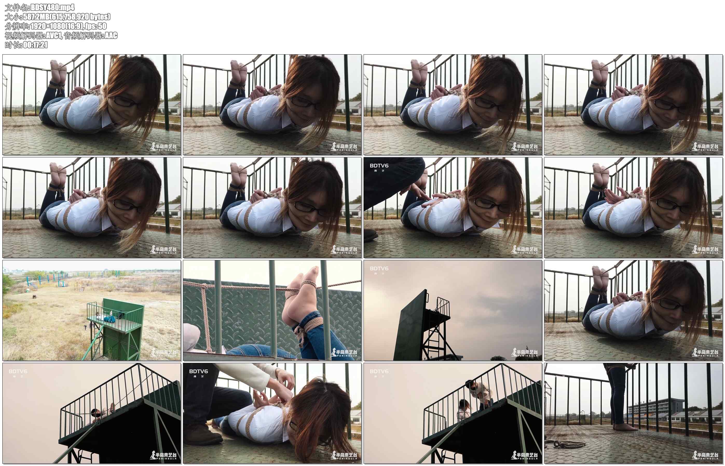 【半岛束艺】鹿野游乐园计划（一）高处不胜寒